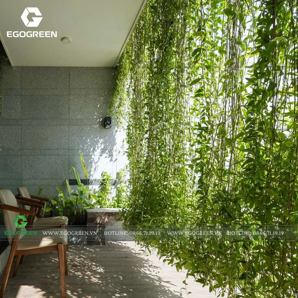 Không chỉ chắn gió hiệu quả, cây bụi và cây leo làm tăng tính thẩm mỹ cho không gian.